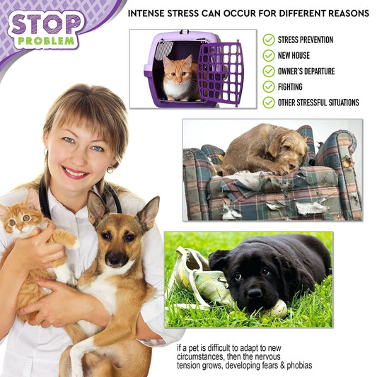 Ashford Pet Anti Anxiety Plug in Stress Relief