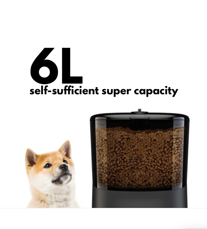 Ashford Pet Automatic Feeder With Camera