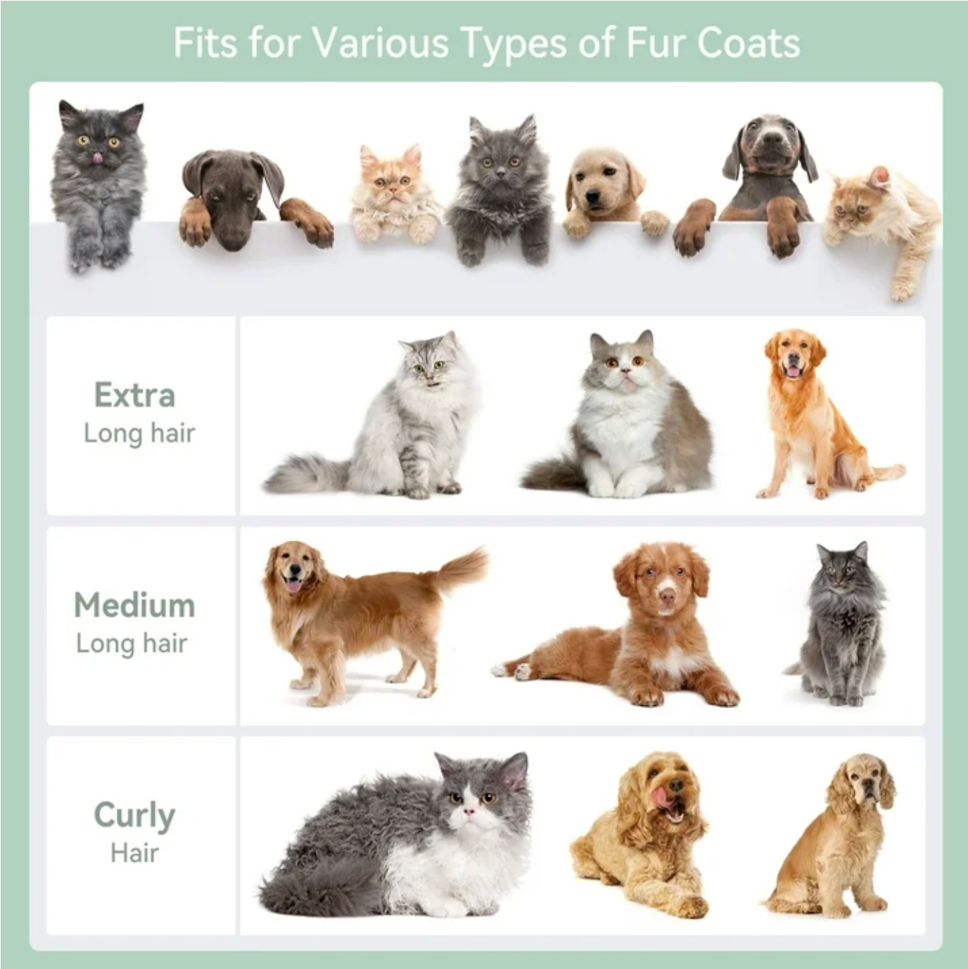 Ashford Pet Multifunctional Hair Grooming & Vacuum Cleaner for Dogs