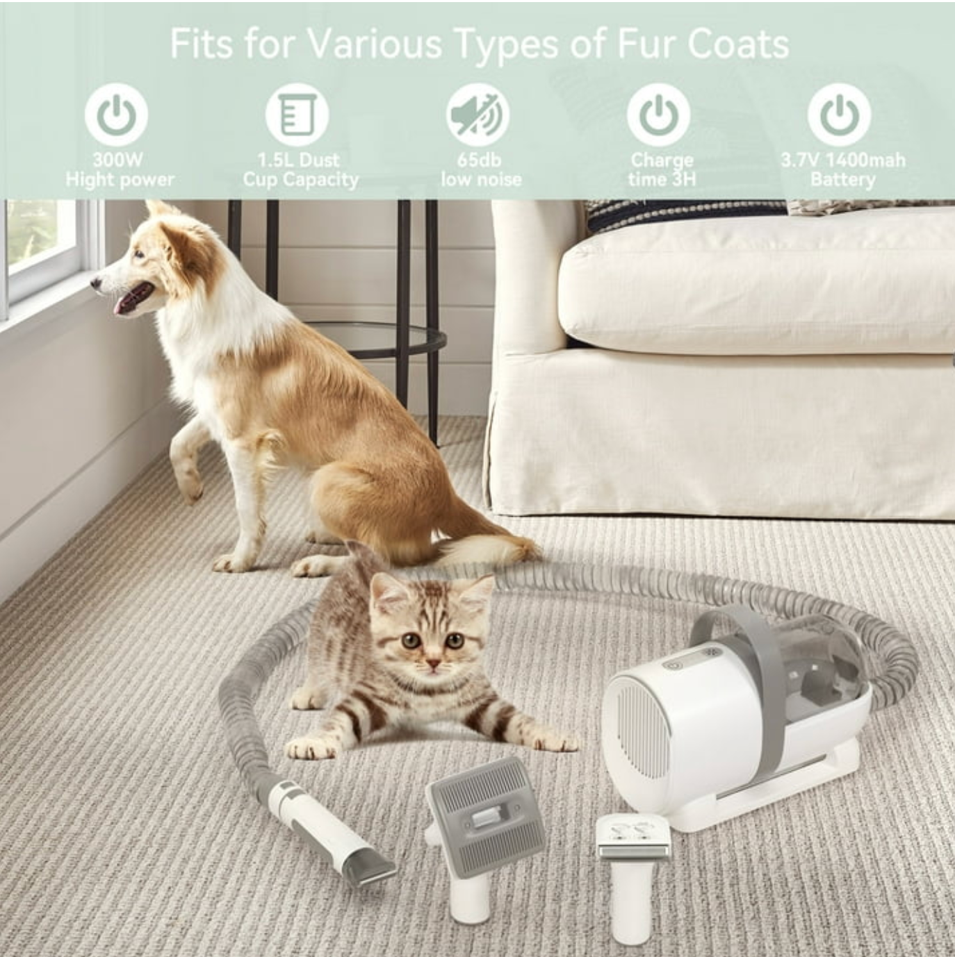 Ashford Pet Multifunctional Hair Grooming & Vacuum Cleaner for Dogs