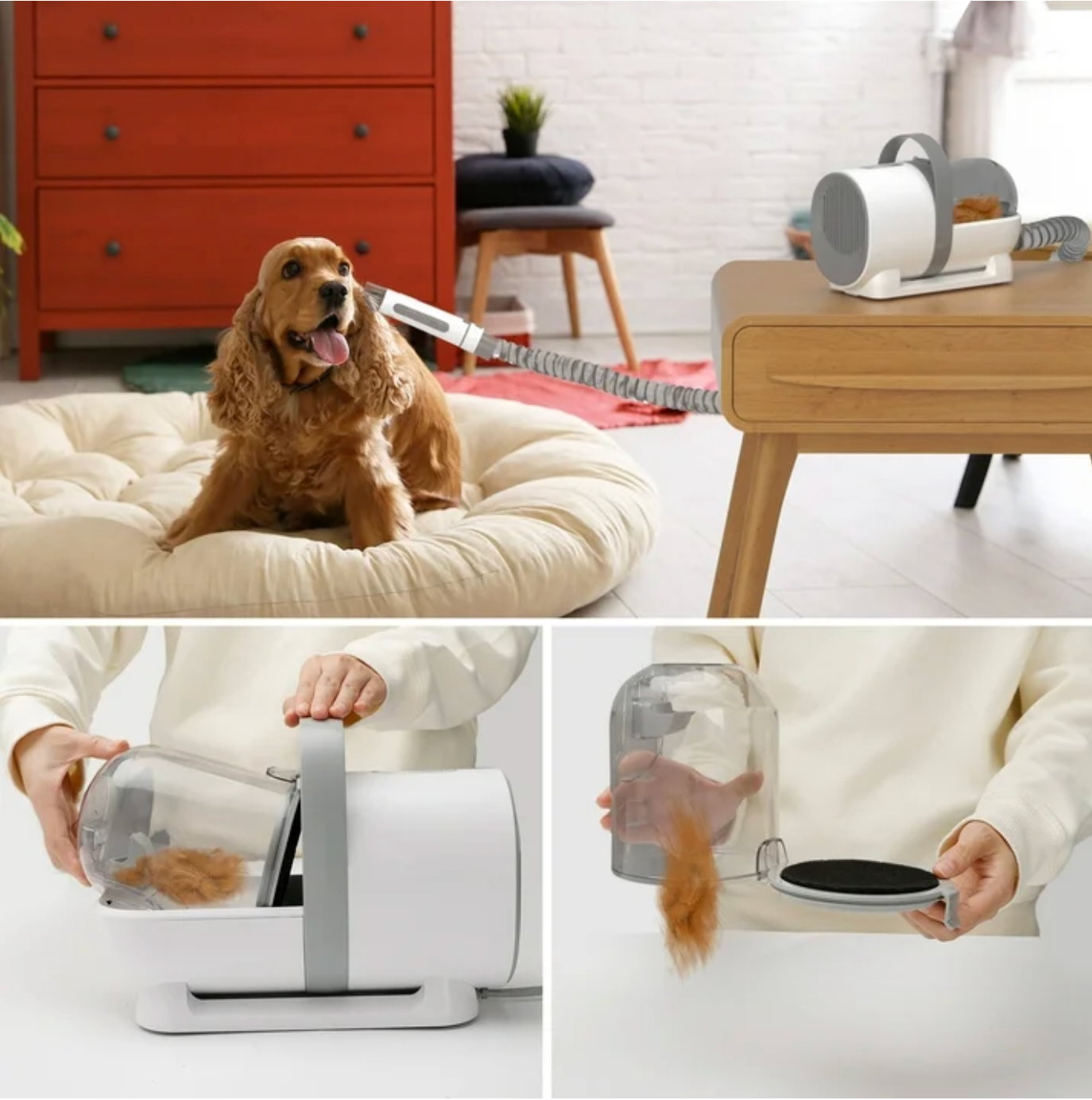 Ashford Pet Multifunctional Hair Grooming & Vacuum Cleaner for Dogs