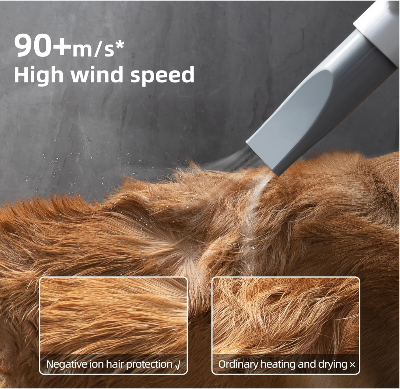 Ashford Pet Hair Dryer – Large Dog Grooming Dryer