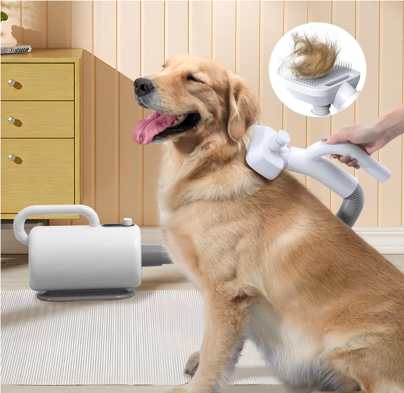 Ashford Pet Hair Dryer – Large Dog Grooming Dryer