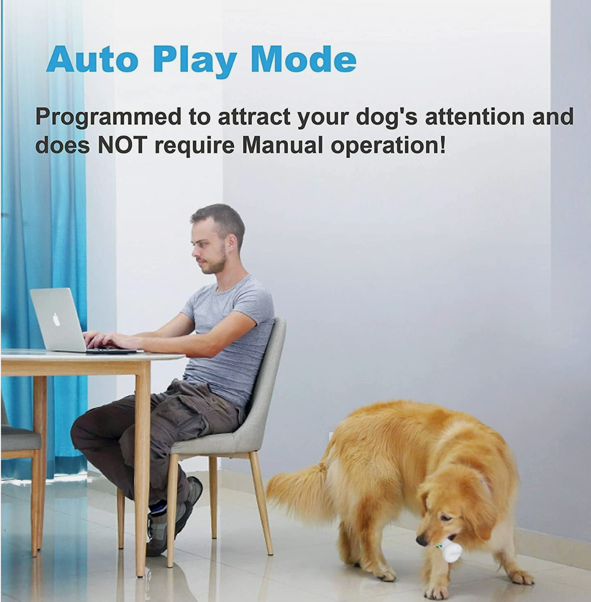 Ashford Pet Smart Toy - Crazy Bone