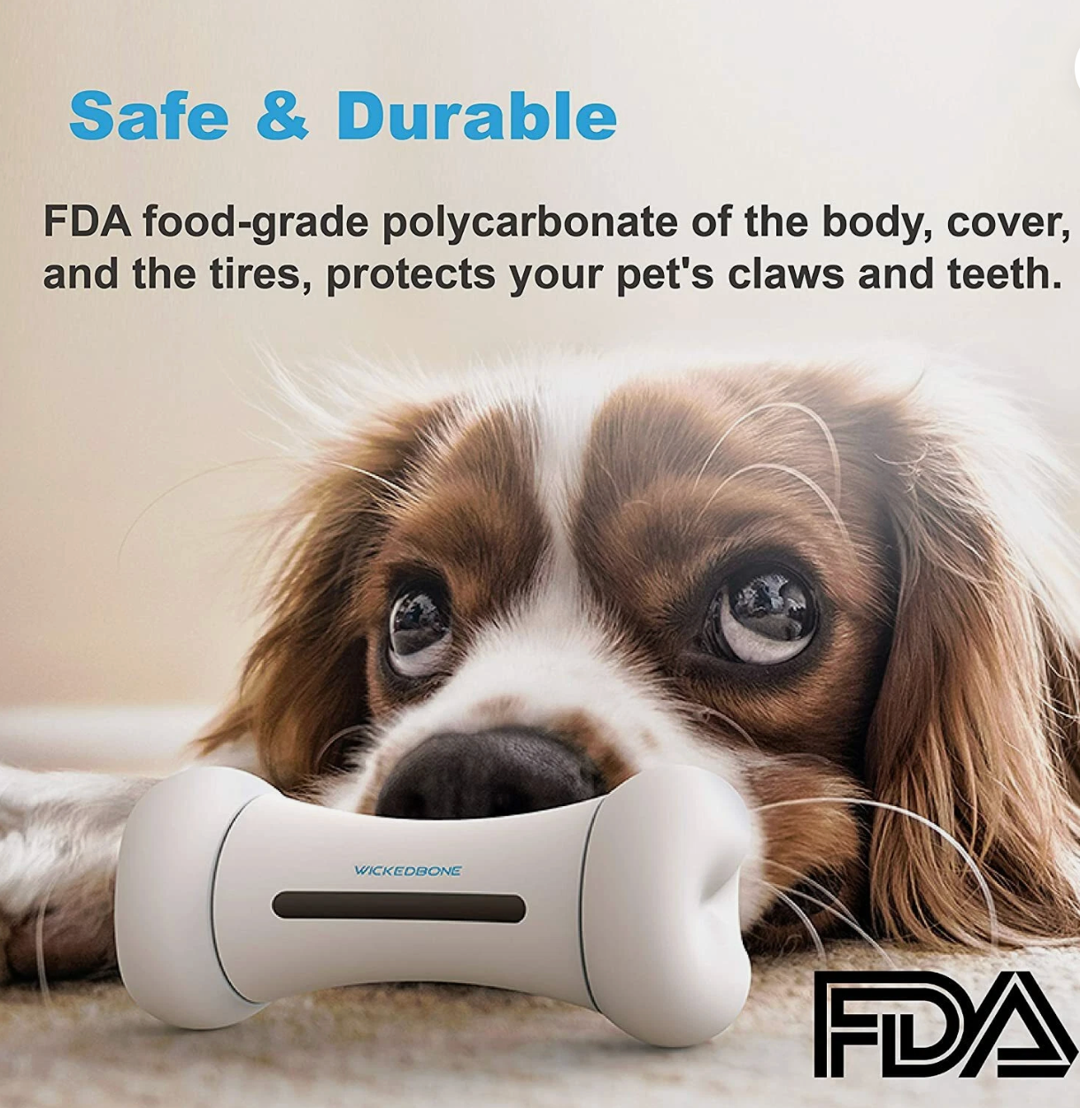 Ashford Pet Smart Toy - Crazy Bone