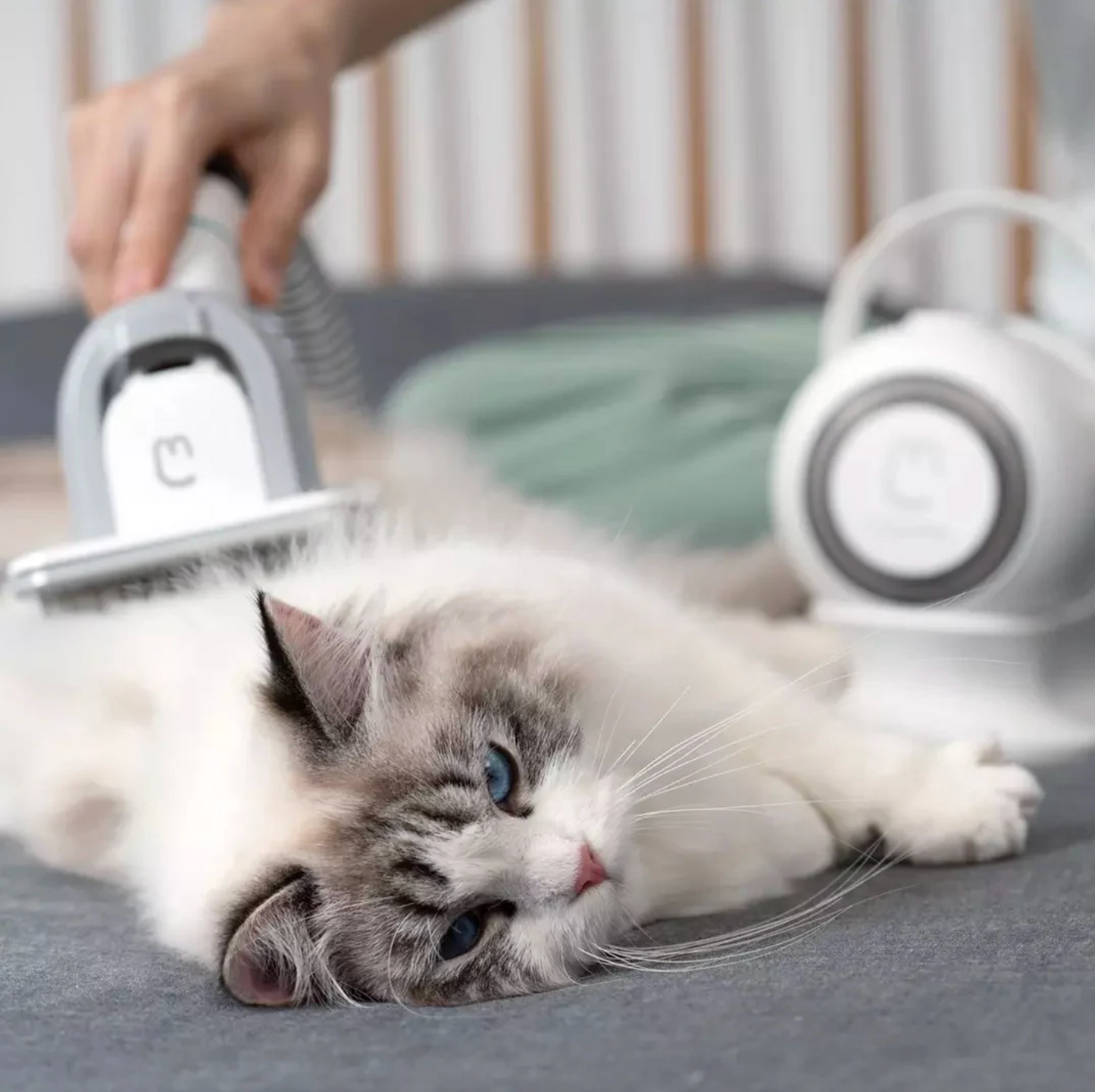 Ashford Pet G2 Multifunctional Grooming Comb