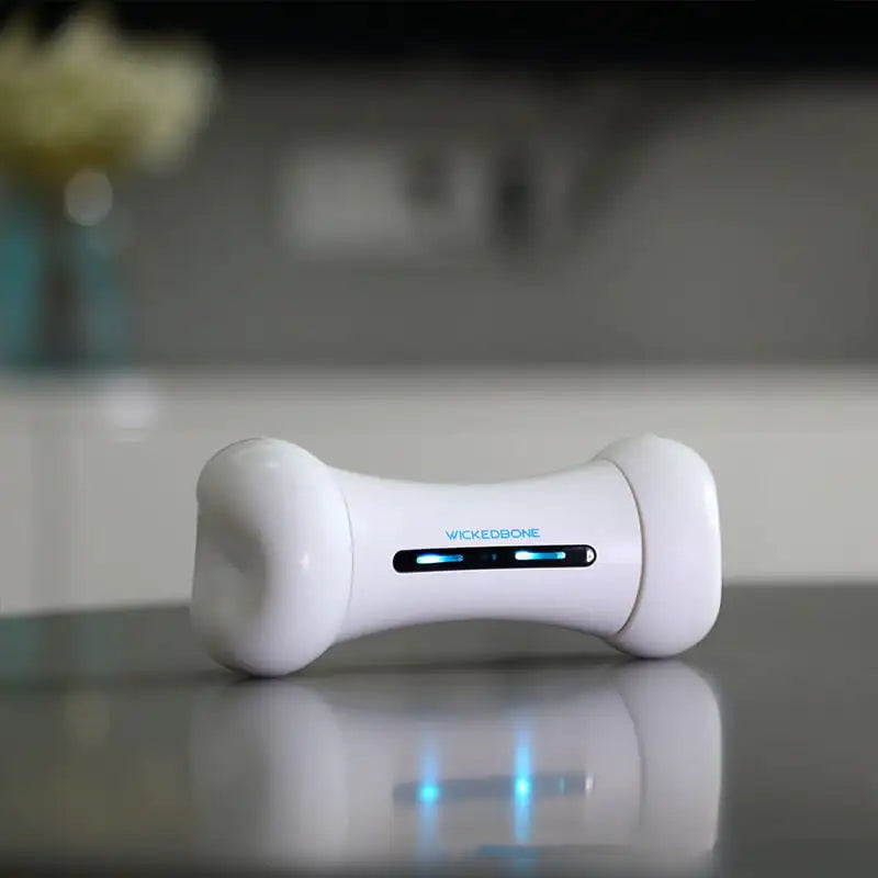 Ashford Pet Smart Toy - Crazy Bone