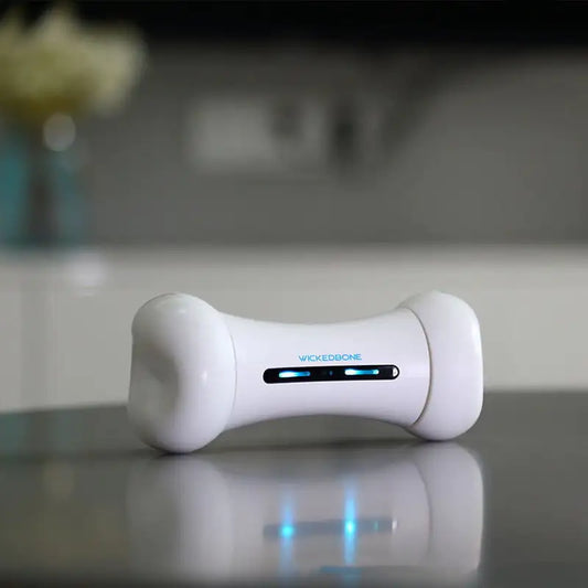 Ashford Pet Smart Toy - Crazy Bone