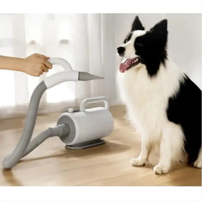 Ashford Pet Hair Dryer – Large Dog Grooming Dryer